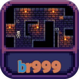 br999